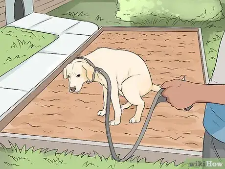 Imagen titulada Get Your Dog to Pee on Command Step 4