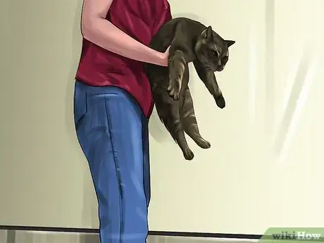 Imagen titulada Stop Your Cat from Eating Plastic Bags Step 12