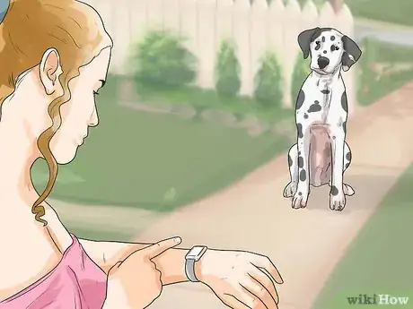 Imagen titulada Care for a Dalmatian Step 4