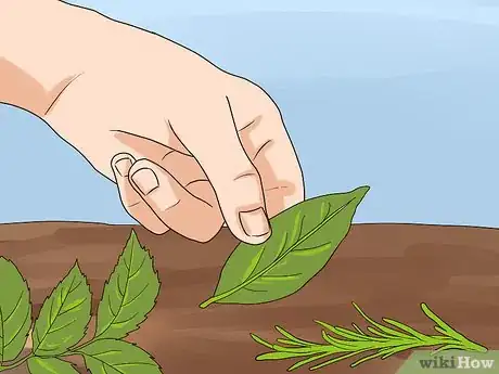 Imagen titulada Care for Slugs Step 6