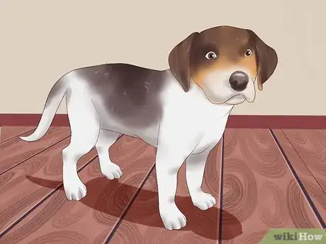 Imagen titulada Pick a Puppy from a Litter Step 15