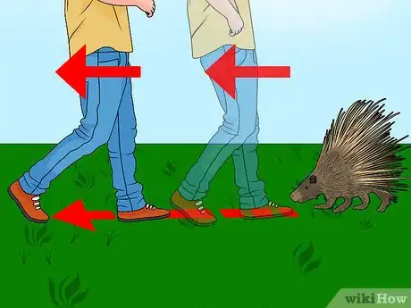 Imagen titulada Remove Porcupine Quills Step 28