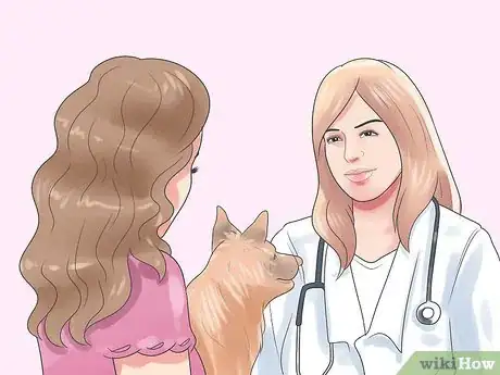 Imagen titulada Treat Dog Bite Wounds on Dogs Step 13