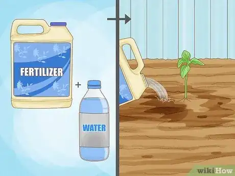 Imagen titulada Plant Sunflower Seeds Step 14