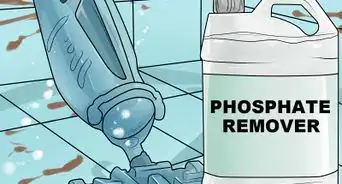 eliminar y prevenir el alga verde en una piscina