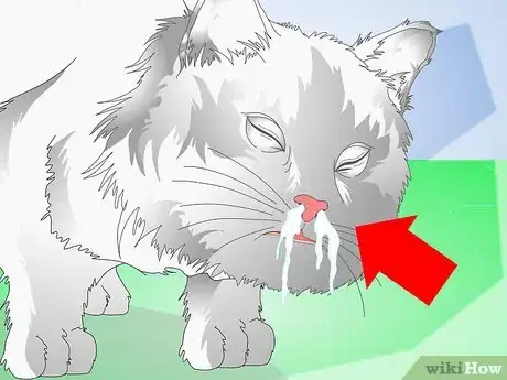 Imagen titulada Get Your Kitten to Eat Step 8