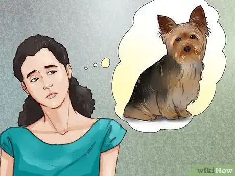 Imagen titulada Train a Yorkie Step 1