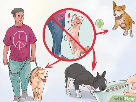 Imagen titulada Deal with Your Annoying Dog Step 2