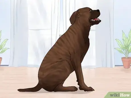 Imagen titulada Identify a Mastiff Step 8