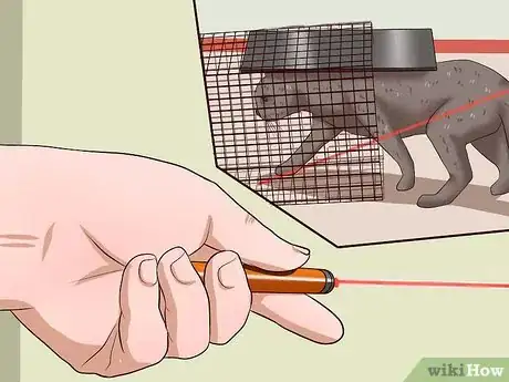Imagen titulada Catch a Cat Step 15