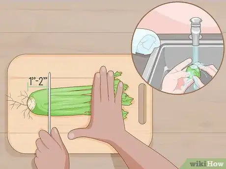 Imagen titulada Grow Celery from a Stalk Step 1