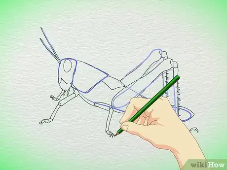 Imagen titulada Draw a Grasshopper Step 3