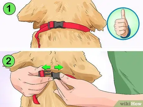 Imagen titulada Put a Gentle Leader on a Dog Step 3