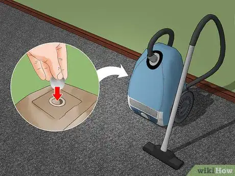 Imagen titulada Control Fleas by Using Peppermint Step 13