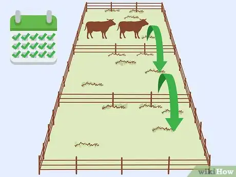 Imagen titulada Care for Cattle Step 6