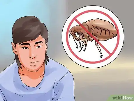 Imagen titulada Rid Your Pet of Fleas Step 18