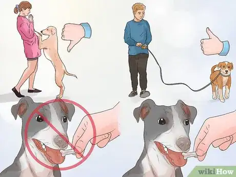 Imagen titulada Deal with Your Annoying Dog Step 8