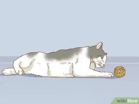 Imagen titulada Train a Cat Step 10