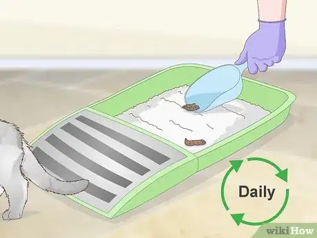 Imagen titulada Dispose of Cat Litter Step 5