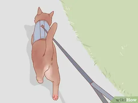 Imagen titulada Stop Your Cat from Begging Step 10