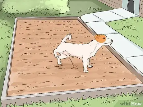 Imagen titulada Get Your Dog to Pee on Command Step 3
