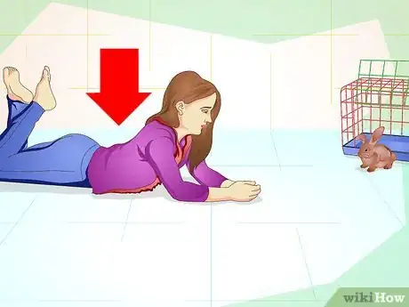 Imagen titulada Make Your Bunny Come to You when You Open the Cage Step 6