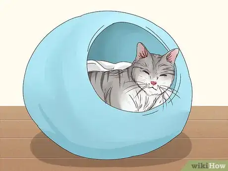 Imagen titulada Get a Cat to Stop Meowing Step 8