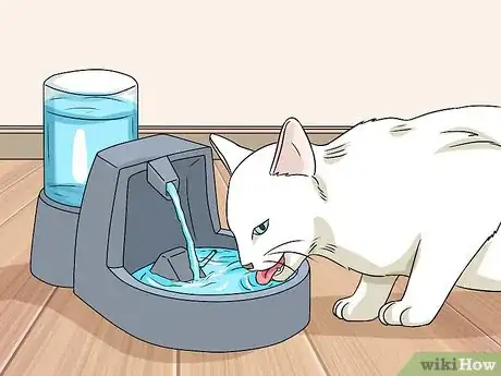 Imagen titulada Identify Cat Stool Problems Step 9