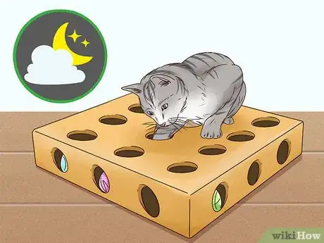 Imagen titulada Get a Cat to Stop Meowing Step 7