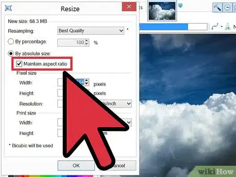 Imagen titulada Resize an Image With Paint.Net Step 3