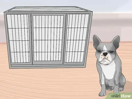 Imagen titulada Train Boston Terriers Step 1