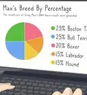 identificar a un perro mestizo