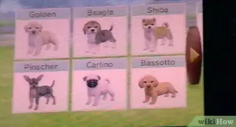 Imagen titulada Make Money on Nintendogs Step 1
