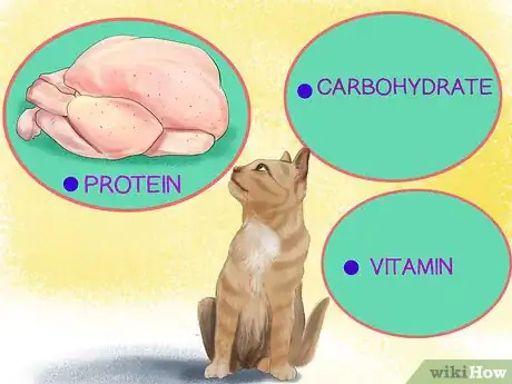 Imagen titulada Choose a Diet for an FIV Cat Step 2