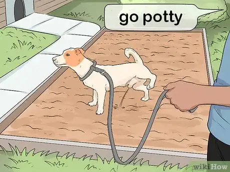 Imagen titulada Get Your Dog to Pee on Command Step 6