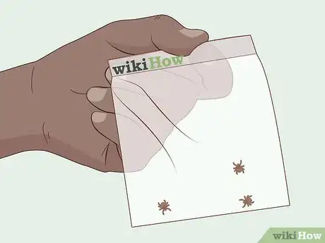 Imagen titulada Get Rid of Ticks in Your Hair Step 10