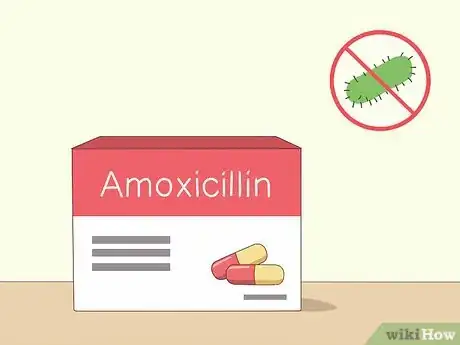 Imagen titulada Cure H. Pylori Naturally Step 16