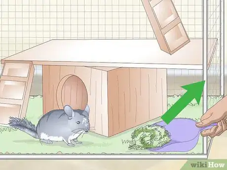 Imagen titulada Care for Chinchillas Step 8