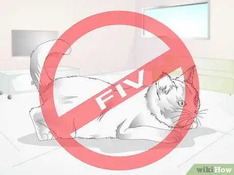 Imagen titulada Castrate a Cat Step 11