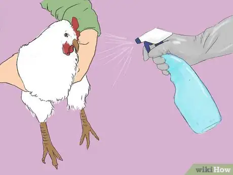 Imagen titulada Get Rid of Chicken Mites Step 11