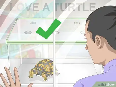 Imagen titulada Care for an Eastern Box Turtle Step 1