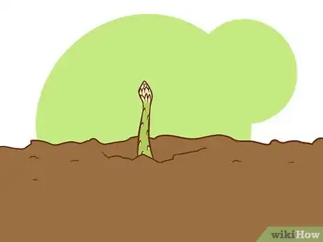 Imagen titulada Plant Asparagus Step 3