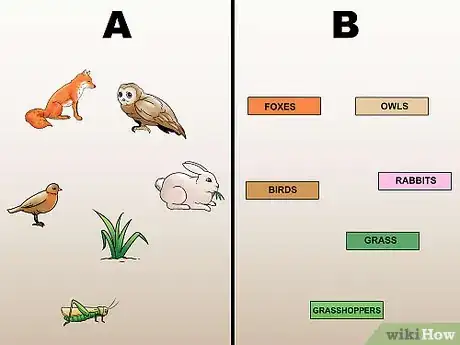 Imagen titulada Draw a Food Web Step 5