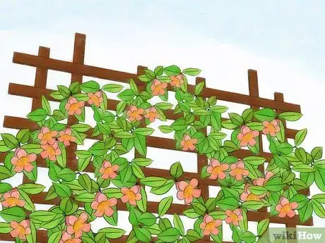 Imagen titulada Hide a Fence Step 4