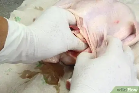 Imagen titulada Clean a Chicken Step 6