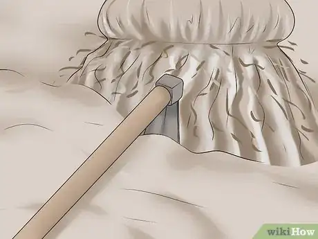 Imagen titulada Remove a Palm Tree Step 6