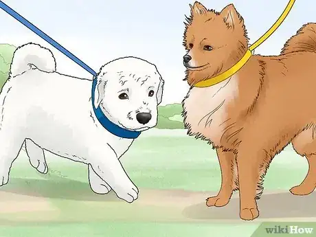 Imagen titulada Train a Dog Step 14