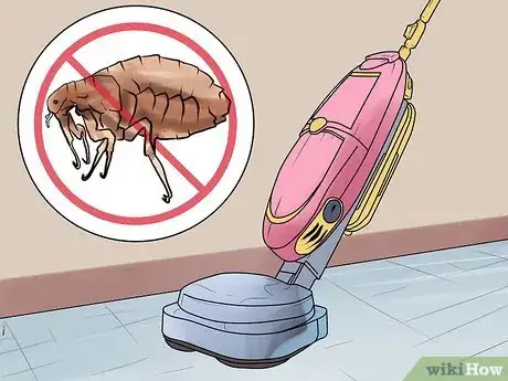Imagen titulada Rid Your Pet of Fleas Step 20