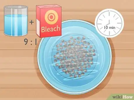 Imagen titulada Grow Monkey Grass from Seed Step 3