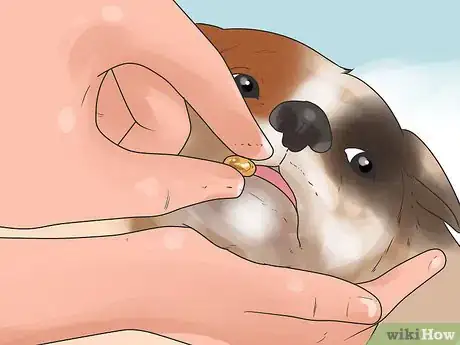 Imagen titulada Stop Dogs from Eating Dog Poop Step 9